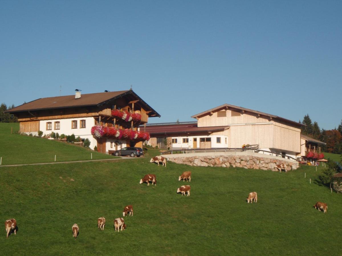Sonnenappartements Madlstatthof Wildschoenau Exteriér fotografie