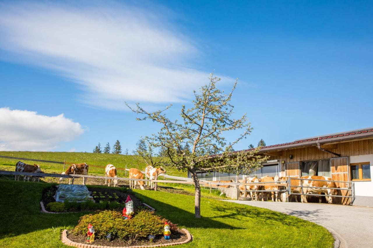 Sonnenappartements Madlstatthof Wildschoenau Exteriér fotografie